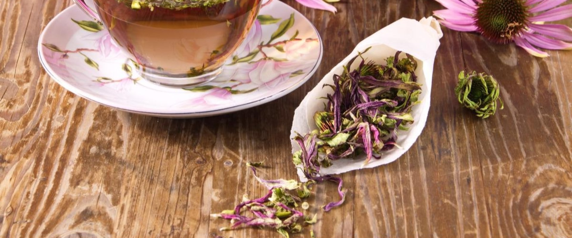 The Healing Power of Echinacea: Exploring its Benefits and Possible Side Effects