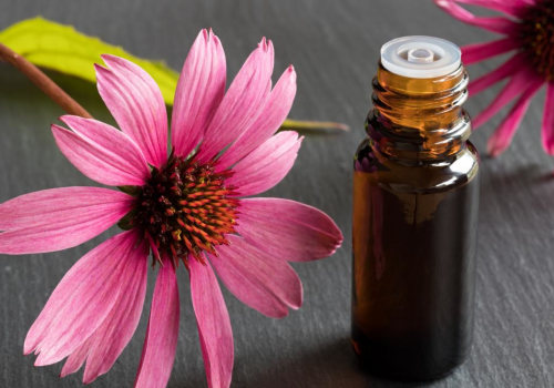 Unlocking the Power of Echinacea: From Boosting Immunity to Improving Skin Health